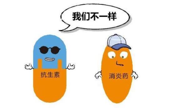 什么东西能代替消炎药吗