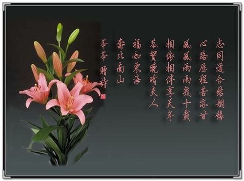 关于形容朋友开心的诗句合集(通用) 关于形容朋友的词语