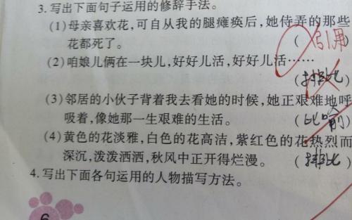 关于人物描写的诗句合集(实用) 关于人物描写的诗句或名言