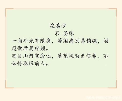 关于诗人爱的诗句合集(实用) 关于诗人诗句的作文