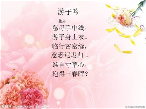 关于母爱诗句警句大全 关于母爱诗句十句排比反问