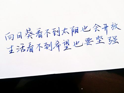 关于领导离别的唯美句子大全 关于领导离别的踌躇满志
