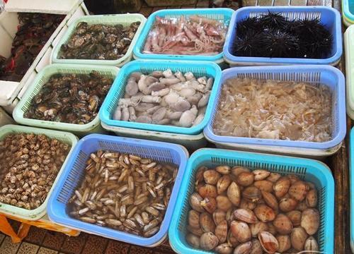 常吃的带壳海鲜图片和名字大全 常吃海鲜图片名称