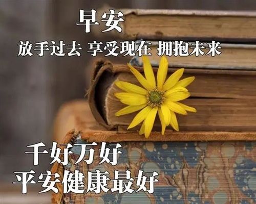 关于形容早晨心情美好的句子大全 关于形容早晨的好词好句