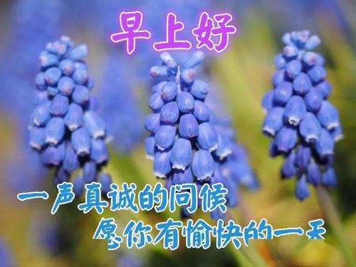关于清晨出门的好心情句子大全 关于清晨出门的说说