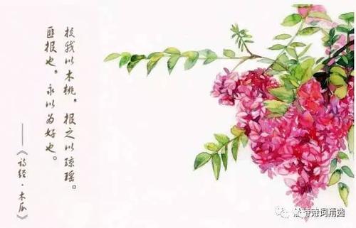 关于诗经中最唯美的句子及赏析大全 诗经中最唯美的名字男