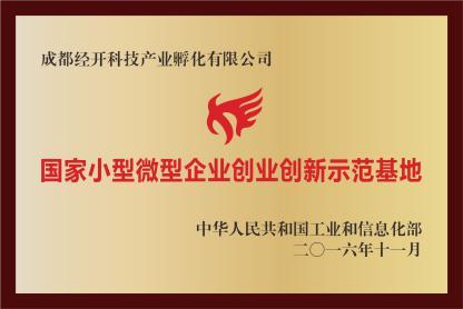 小型微型企业创业创新示范基地 小型微型企业怎么划分
