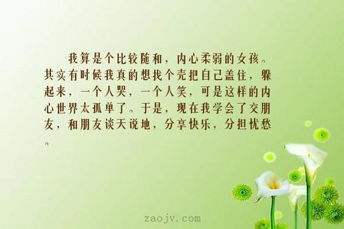 关于形容孤独的美的诗句合集(优选) 关于形容孤独的句子