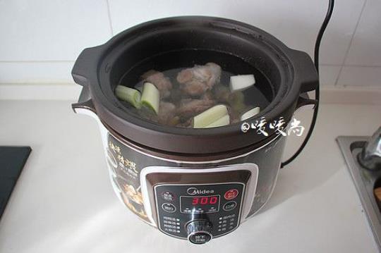 电炖锅菜谱 北鼎蒸炖锅菜谱