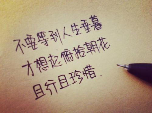 关于珍惜的唯美句子 关于珍惜唯美句子
