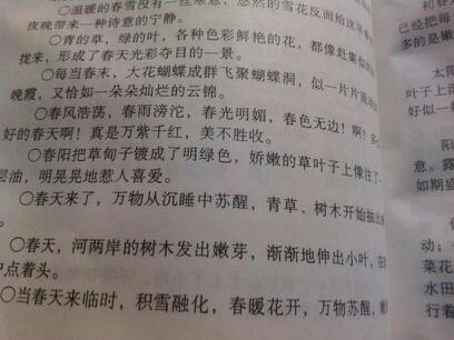 关于写物优美的句子大全 写物的优美句子20字