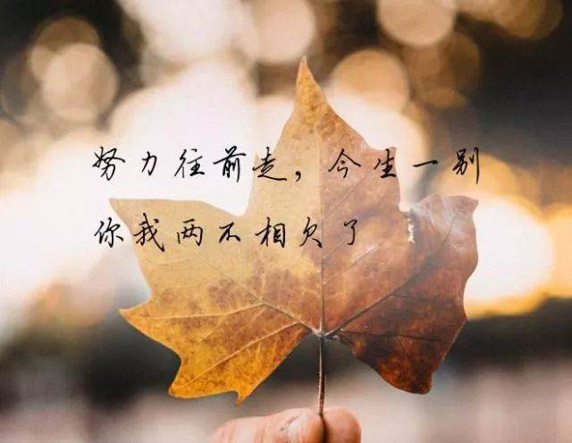 关于每日心情语录的句子大全 每日心情一句话