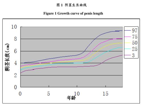 penis是什么意思 peninsular