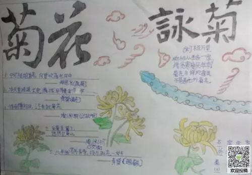 关于菊花的诗句和好词好句合集(优选) 关于菊花诗句古诗大全