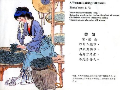 关于形容养蚕很辛苦的诗句合集(通用) 形容养蚕的诗句
