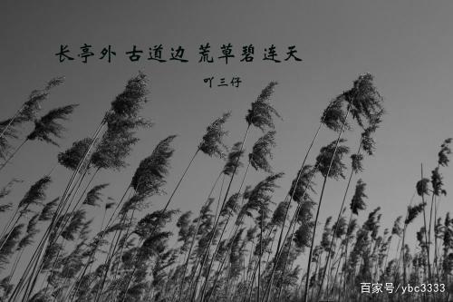 关于送别父亲唯美句子大全 含香送别父亲视频