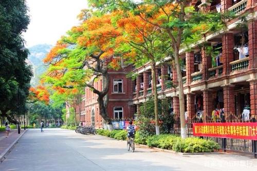 关于厦门大学优美句子大全 描写厦门大学的优美句子