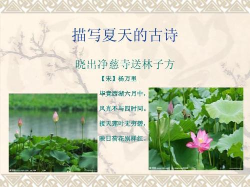 关于形容夏日花开的诗句合集(通用) 形容夏日的成语