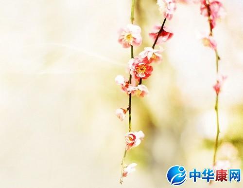 关于花在一句中的第二个字的诗句合集(优选)