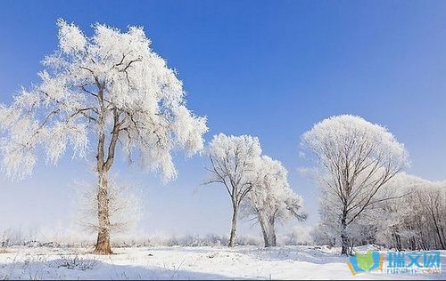 关于形容景象很美的诗句合集(实用) 形容景象的成语