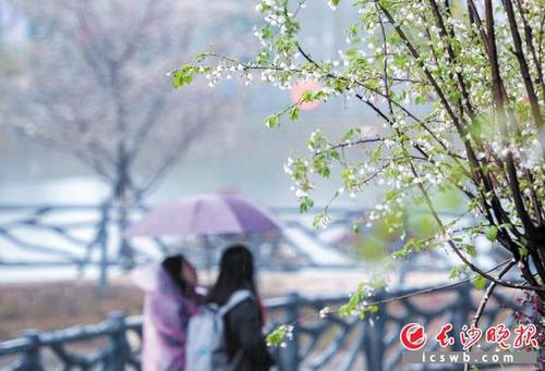 关于春天蒙蒙细雨唯美句子大全 春天的蒙蒙细雨作文