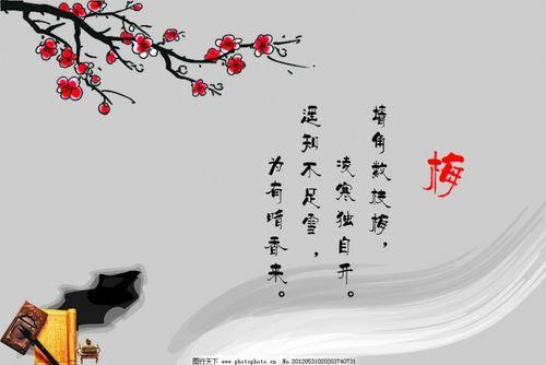 关于用于形容坚持的诗句合集(通用) 用于形容性格