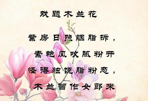 关于一首花的诗句合集(通用) 关于一首诗句的手抄报的内容