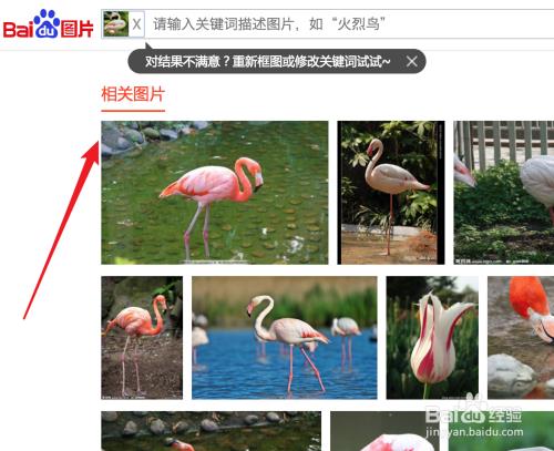 以图搜图的使用方法 小红书怎么以图搜图
