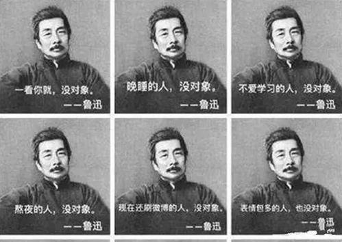 关于鲁迅的诗句名言合集(优选) 鲁迅《自嘲》诗句解释