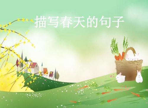 关于春天的作文带有诗句合集(精选) 关于春天作文的题目