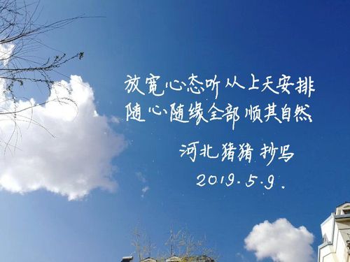关于随缘的优美句子大全 爱随缘的优美短句