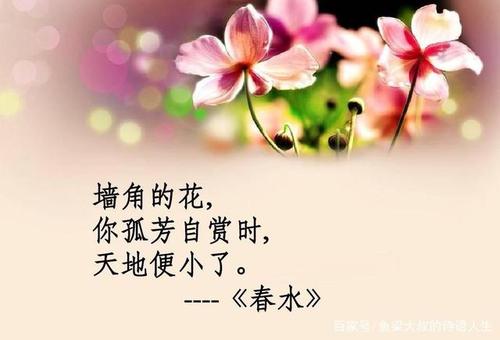 关于竞春的诗句合集(通用)