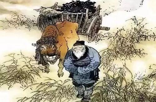 关于卖炭翁古诗词课后答案合集(实用) 卖炭翁是不是古诗词