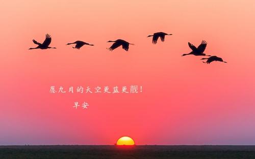 关于九月团队励志唯美的句子大全 九月江寻千团队