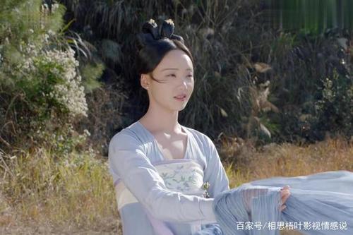 《青青子衿》低糖海苔饼讲的什么 青青低糖海苔饼