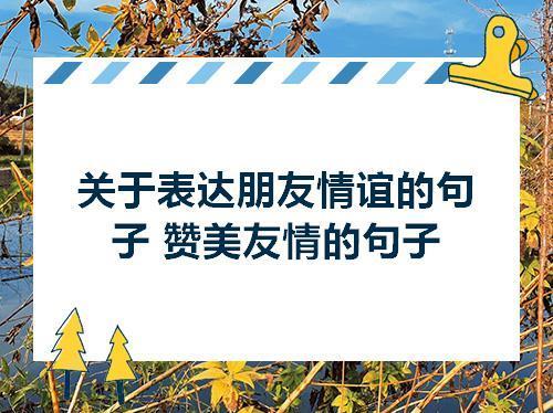 关于赞美好朋友的唯美句子大全 关于赞美朋友的句子唯美