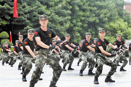 武警擒敌拳1-16动连贯动作 武警擒敌16拳视频