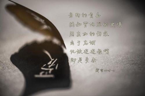 关于圣经里的唯美句子爱情大全 圣经图片唯美背景图片