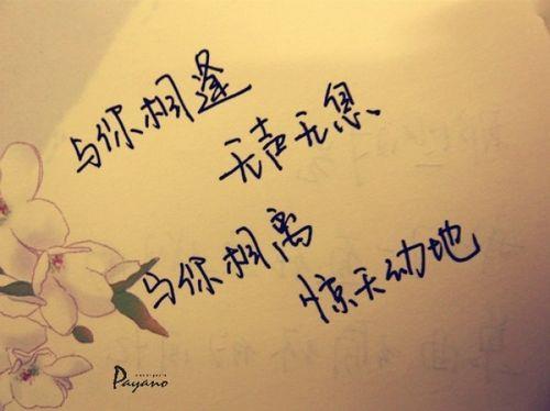 关于相遇走丢的唯美句子大全 关于相遇唯美的句子