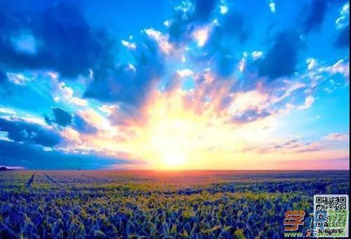 关于朝夕优美的句子大全 朝夕的优美句子