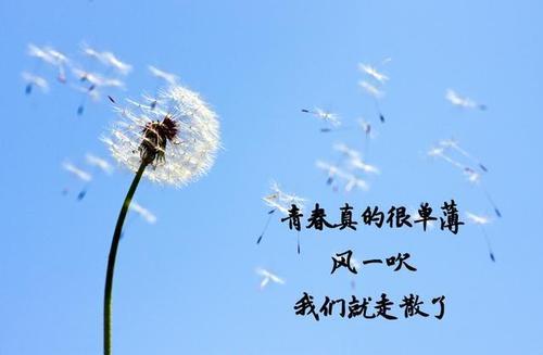 关于风的唯美句子短句大全 关于唯美句子上进的