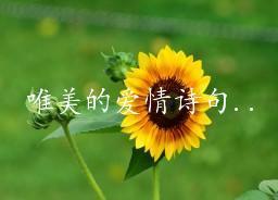 关于形容整洁的环境的诗句合集(优选) 形容整洁的成语
