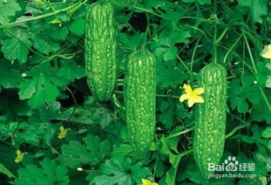 10种健康食物轻松祛除心火 不健康的食物英文