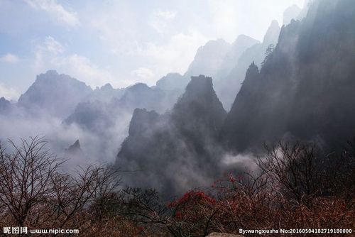 关于形容山连绵起伏诗句合集(优选) 形容山连绵起伏的诗句