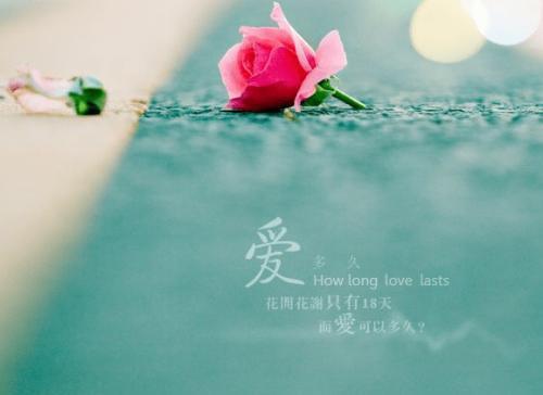 关于形容浪漫的句子唯美诗句大全 关于形容浪漫的句子