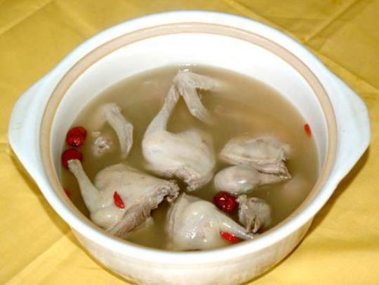 鸽子汤下奶吗 鸽子下奶不