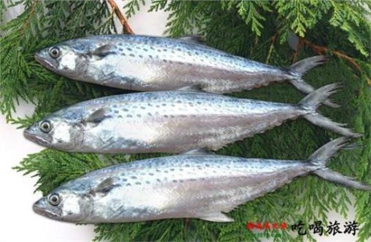 海鱼都有哪些 海鱼哪些好吃