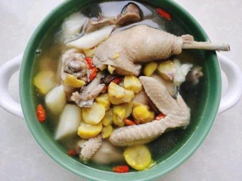老母鸡炖汤 老母鸡炖汤怎么炖好喝又营养