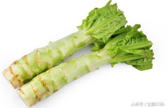 夏季莴笋正新鲜 夏季莴笋的种植技术