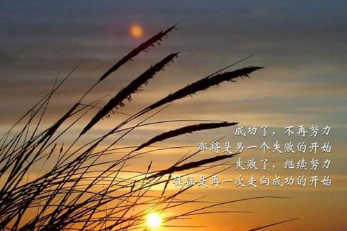关于坚持到底的优美句子大全
